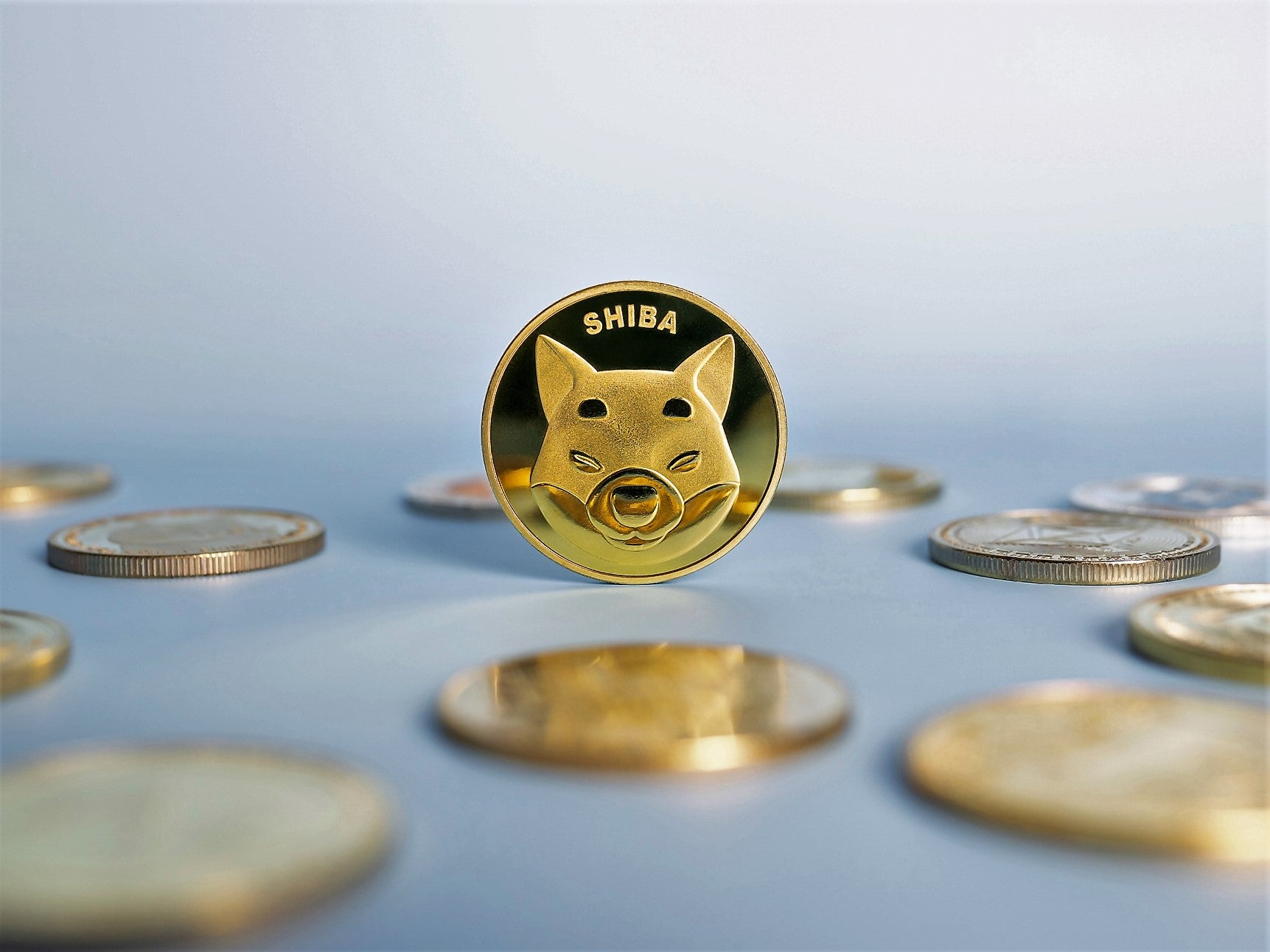 shiba inu coin market cap at 1 cent